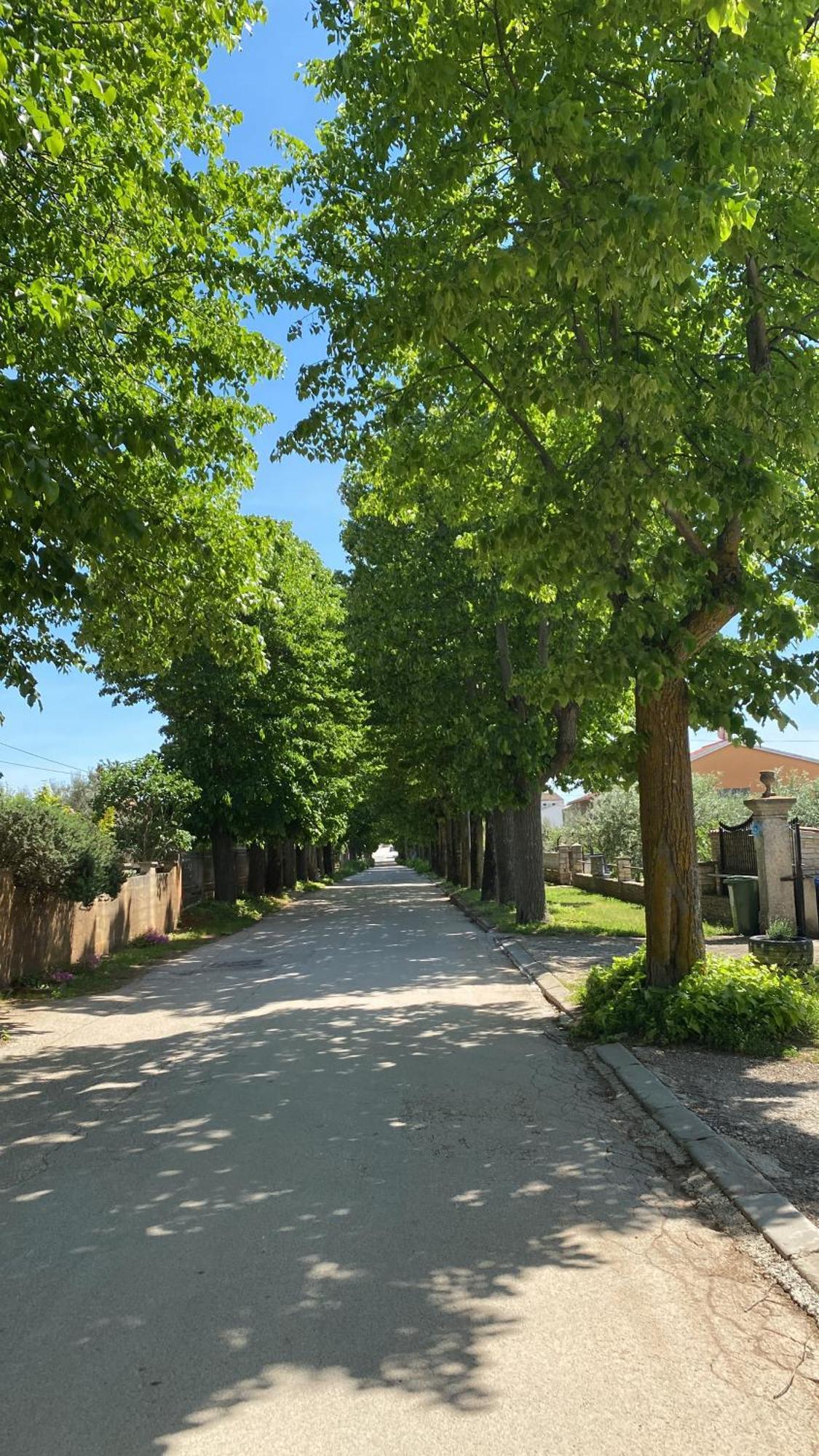 Apartment Vodnjan Bagian luar foto